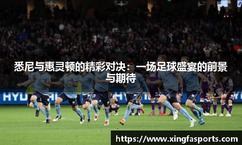 悉尼与惠灵顿的精彩对决：一场足球盛宴的前景与期待
